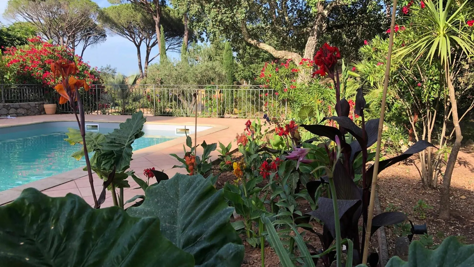 Sous Les Pins Parasols Vidauban