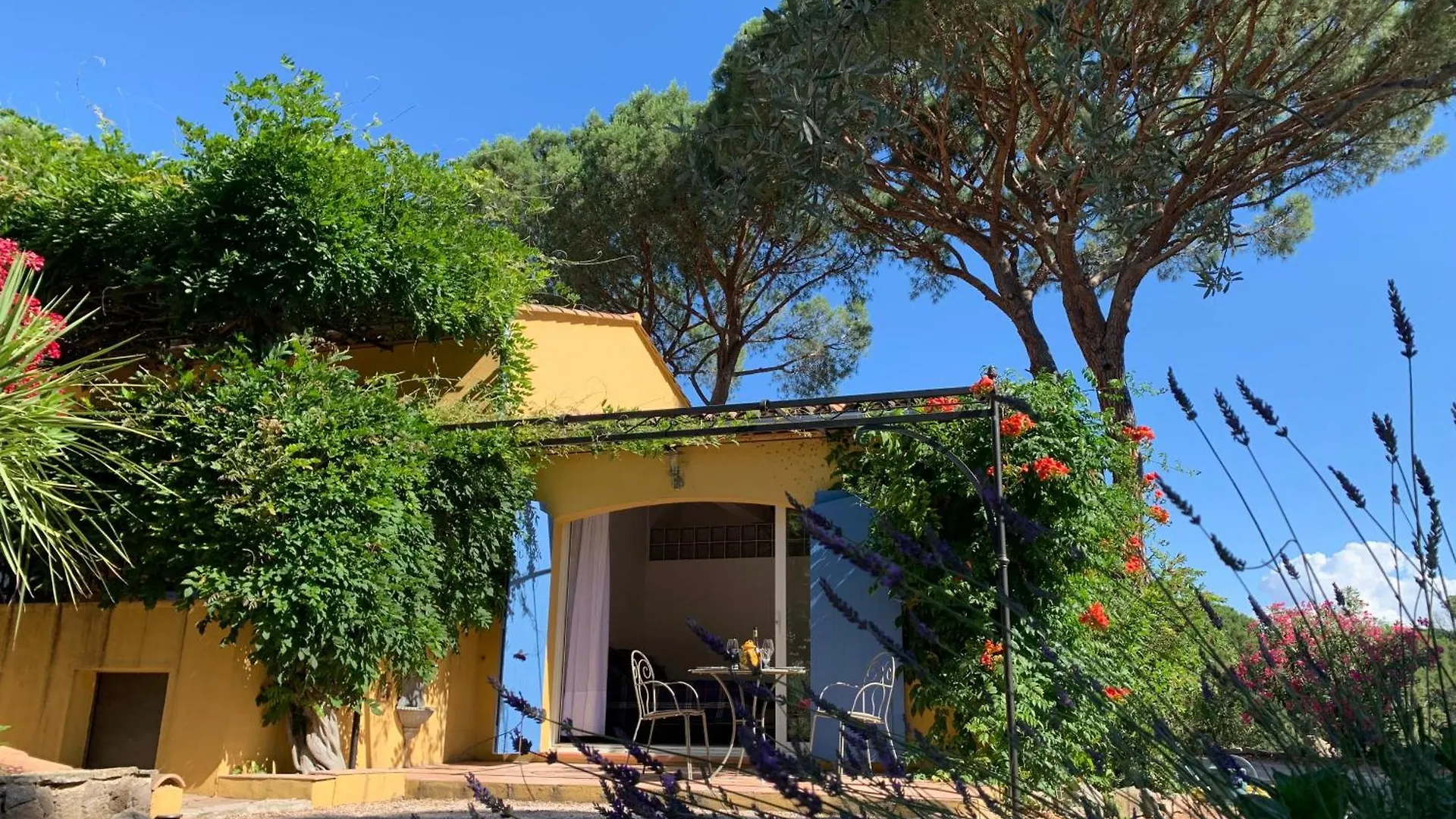 Sous Les Pins Parasols Vidauban Maison d'hôtes