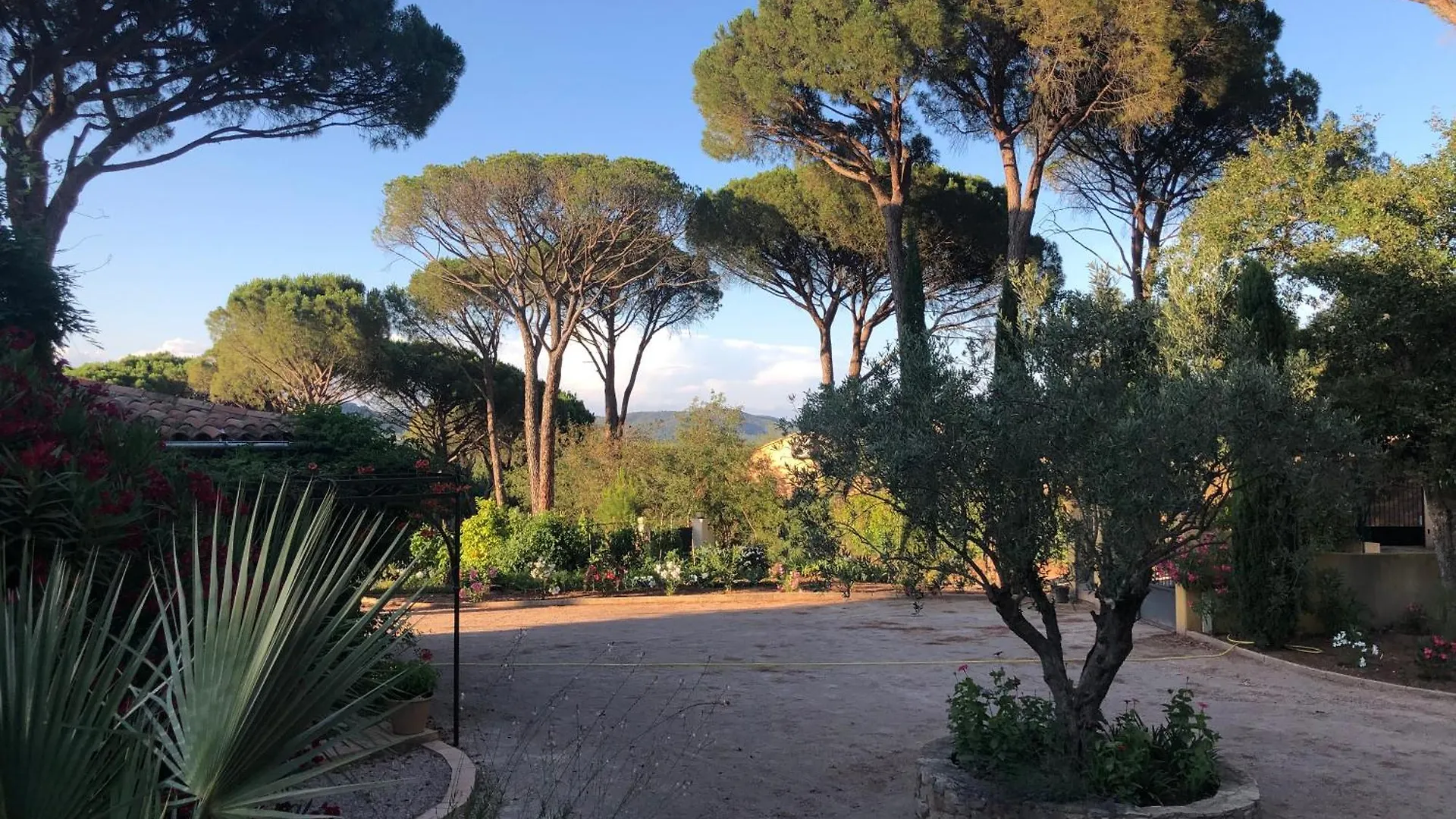 Maison d'hôtes Sous Les Pins Parasols Vidauban
