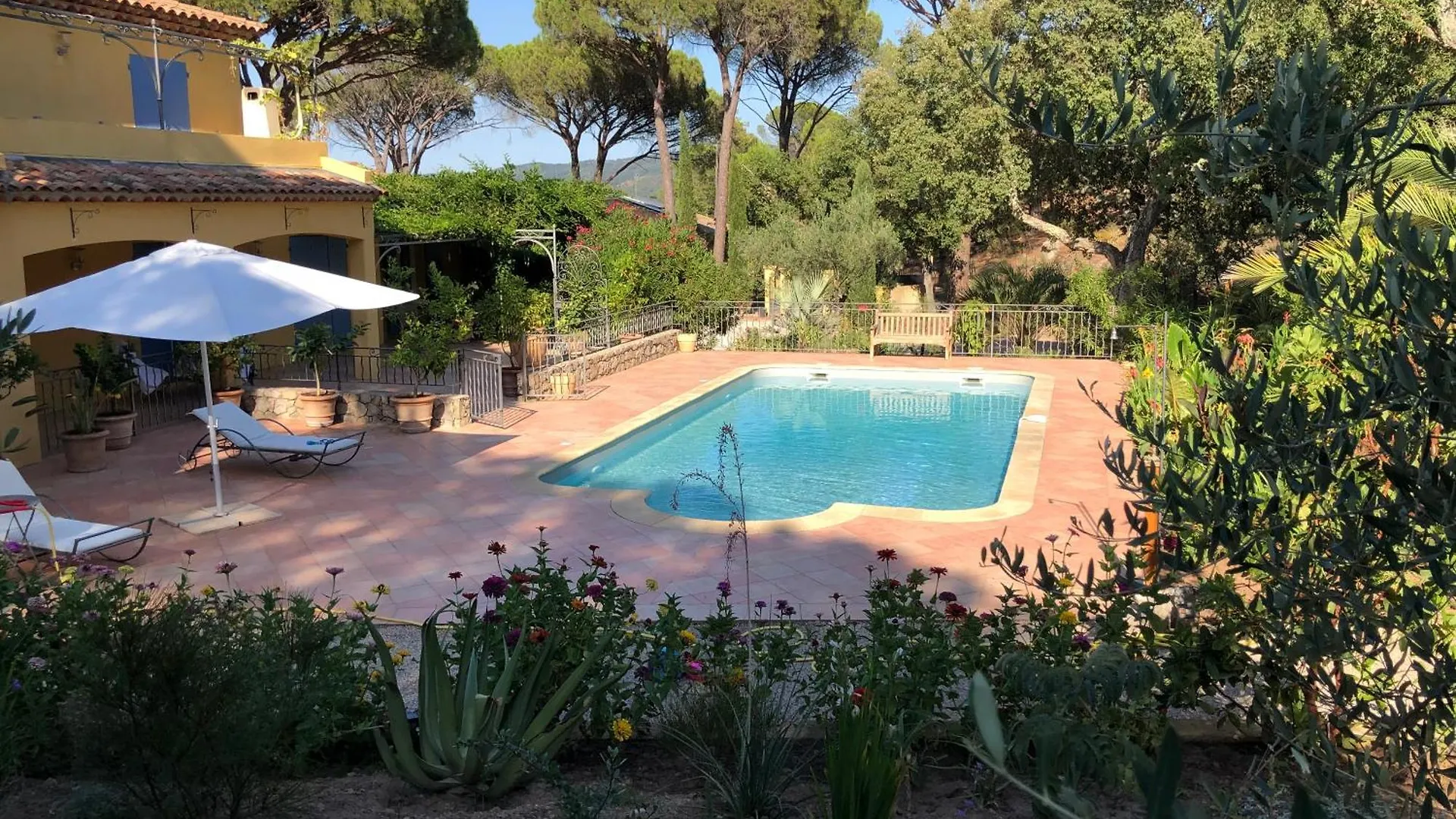 Sous Les Pins Parasols Vidauban Maison d'hôtes
