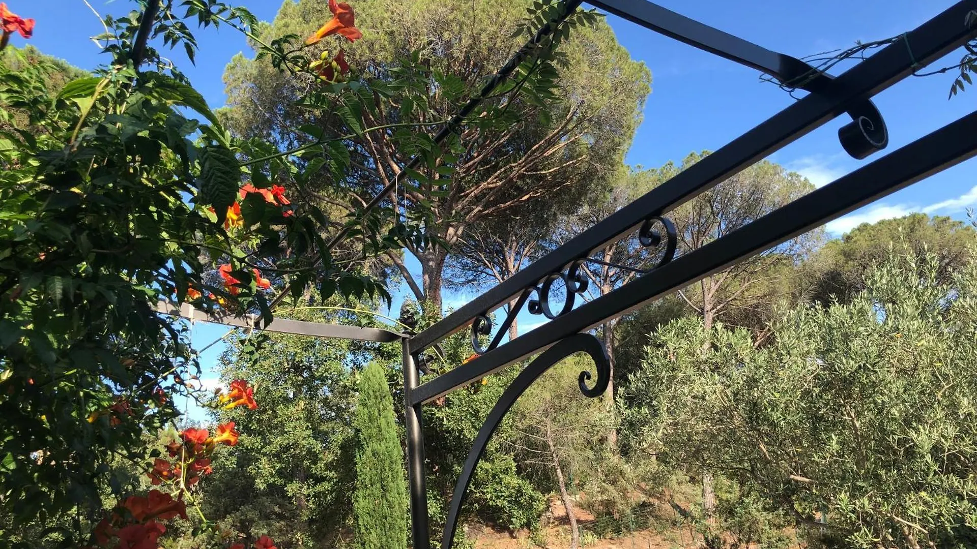 Sous Les Pins Parasols Vidauban Maison d'hôtes