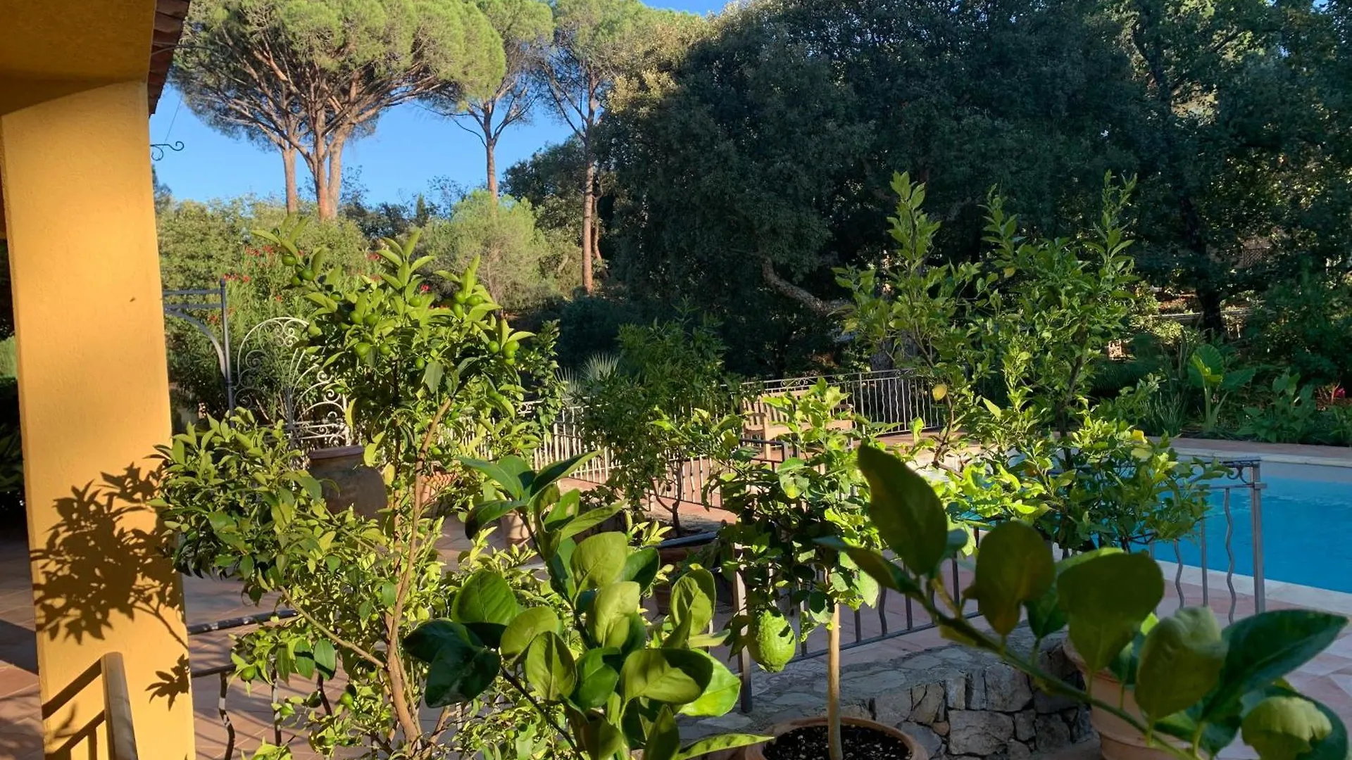 Maison d'hôtes Sous Les Pins Parasols Vidauban