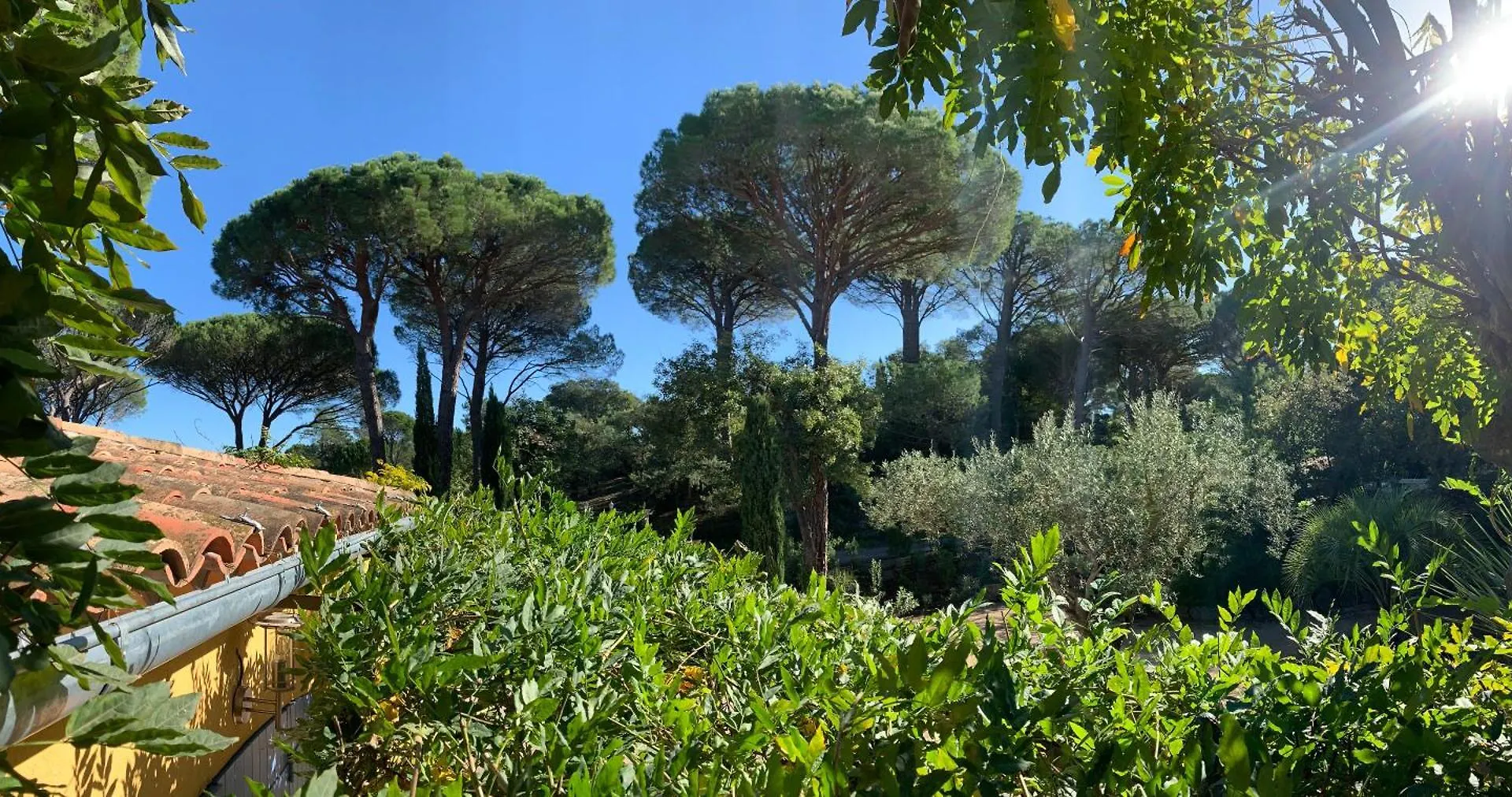 Sous Les Pins Parasols Vidauban Maison d'hôtes